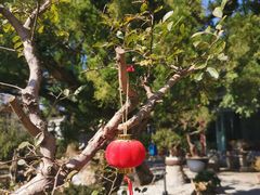 -万景茶庄·台州菜