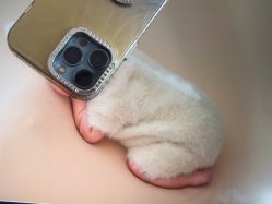 -玛瑞莎孕婴童摄影到家拍
