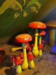 点击看大图 -宝燕乐园(闵行旗舰店)