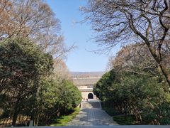 -灵谷景区