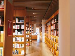 -新华文创·光的空间