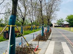 -江苏三台山国家森林公园