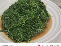 -海金滋(陕西南路店)