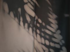 -柒厢食事雅谈