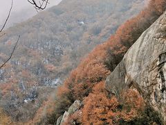 -秦岭风景区