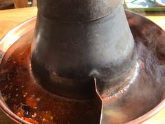 -东镇老火锅(长春路首店)