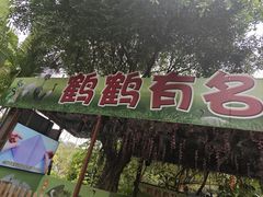 -广州长隆飞鸟乐园