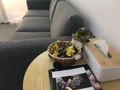 -御金匠奢侈品维修保养(港汇恒隆店)