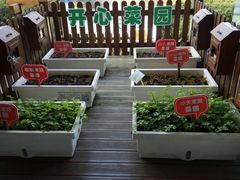 -东方明珠·可口可乐欢乐餐厅