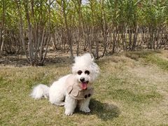 -象湖生态湿地公园