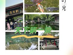 -趵突泉景区