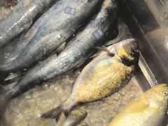 -山东宾馆·齐鲁苑餐厅