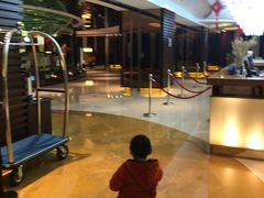 -杭州龙禧福朋喜来登酒店