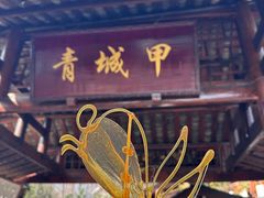 -青城甲(青城山店)