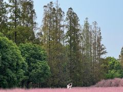 -嘉北郊野公园