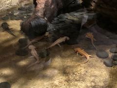-青青世界