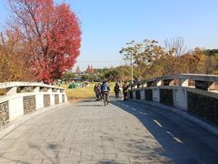 -昆山城市生态森林公园