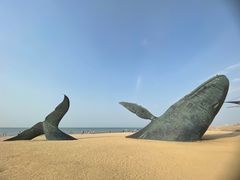 -烟台金沙滩海滨公园