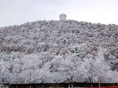 -山东大学(威海校区)