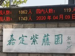 -嘉定紫藤园