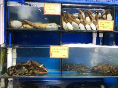 -蚝专家(北滘店)