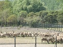 -溱湖国家湿地公园