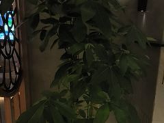-浅深Cheersum(曹杨店)