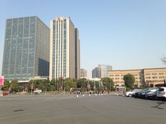 -大宁郁金香公园-停车场