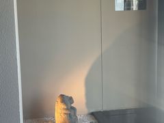 -江南雅厨(李公堤店)