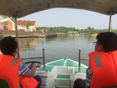 -上海长兴岛郊野公园