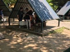 餐饮设施-上海共青森林公园