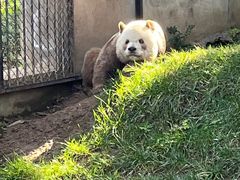 -西安秦岭野生动物园
