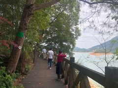 -广州市流溪河国家森林公园