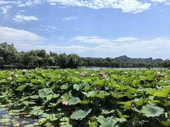 -承德避暑山庄景区