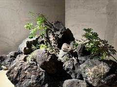 -曲廊院(东四十一条店)