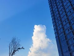 -Jovedwell设计师酒店(成都东站店)