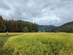 -塔川景区