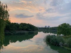 -尚贤河湿地