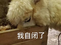 -星巴克(浦东机场T2到达店)
