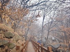 -鲁山国家森林公园