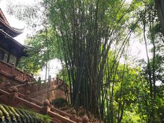 -青羊宫