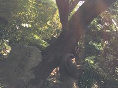 -绮园景区