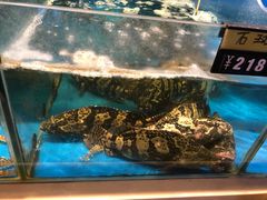 -满记粤菜馆(荷园路店)