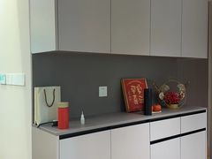 -索菲亚衣柜橱柜全屋定制(真北红星店)