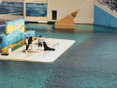 -秦皇岛乐岛海洋王国