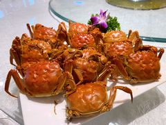 -盘锦生态酒店-火锅餐厅