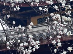 -龙华寺