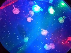 android_upload_pic-郑州海洋馆