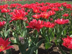 -长春公园(普阳街道)