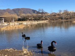 -门城湖公园